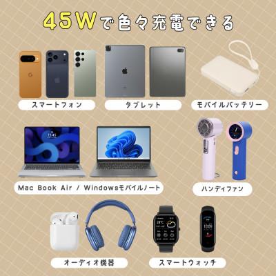 ふるさと納税 海老名市 USB充電器 PD45W USB-Cx1 スモーキーブラック