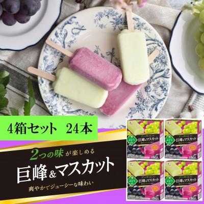 ふるさと納税 矢巾町 フタバ食品 ぶどうの季節 4箱セット 計24本