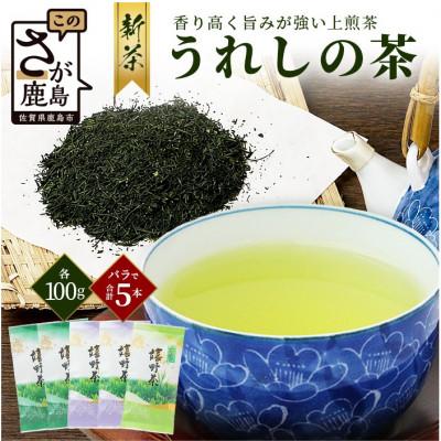 ふるさと納税 鹿島市 嬉野茶 上煎茶 500g (100g×5本)