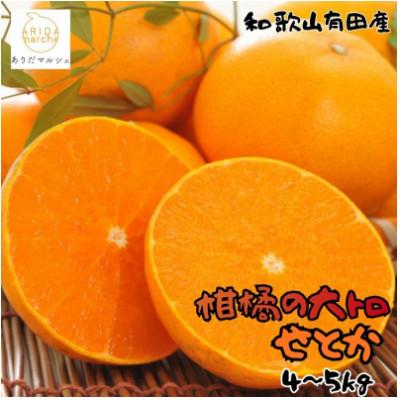 ふるさと納税 九度山町 ≪先行予約 2027年2月〜発送≫[高級]和歌山有田の濃厚せとか 約4〜5kg