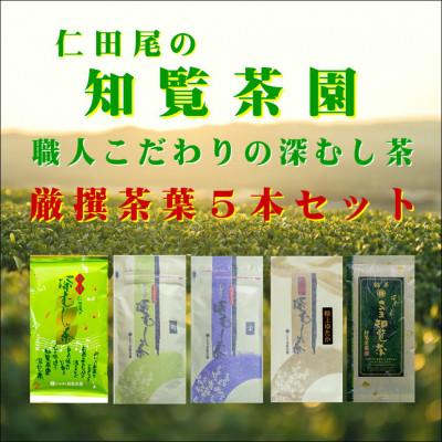 ふるさと納税 南九州市 [自宅用]知覧茶園の深むし茶 厳撰茶葉5本セット