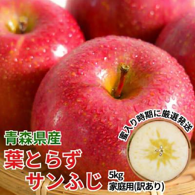 ふるさと納税 黒石市 11-12月蜜入り時期に発送! 平均糖度13度以上 葉とらずサンふじ 約5kg 訳あり 青森 りんご