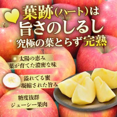 ふるさと納税 黒石市 11-12月蜜入り時期に発送! 平均糖度13度以上 葉とらずサンふじ 約5kg 訳あり 青森 りんご |  | 01