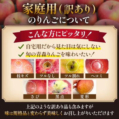 ふるさと納税 黒石市 11-12月蜜入り時期に発送! 平均糖度13度以上 葉とらずサンふじ 約5kg 訳あり 青森 りんご |  | 03