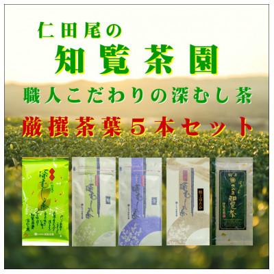 ふるさと納税 南九州市 [贈答用]知覧茶園の深むし茶 厳撰茶葉5本セット