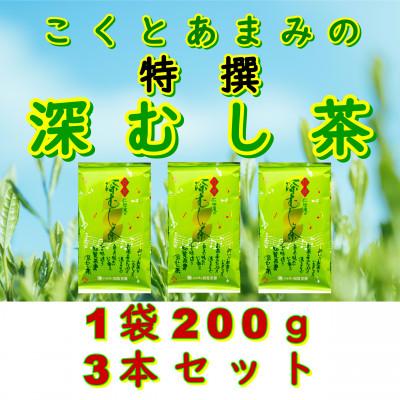 ふるさと納税 南九州市 [贈答用]知覧茶園の特撰深むし茶 600g(200g×3本セット)