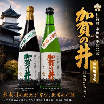 ふるさと納税 糸魚川市 加賀の井 純米大吟醸と特別純米酒 糸魚川産の2本セット(720ml×2本)