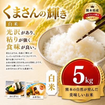 ふるさと納税 玉名市 [熊本県産] くまさんの輝き 白米 5kg