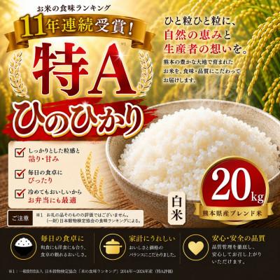 ふるさと納税 玉名市 [熊本県産] ひのひかり 白米 20kg