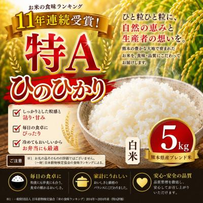 ふるさと納税 玉名市 [熊本県産] ひのひかり 白米 5kg