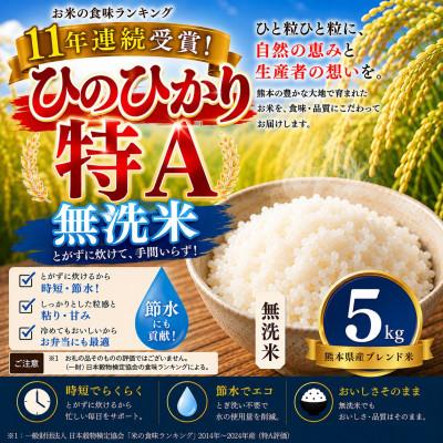 ふるさと納税 玉名市 [熊本県産] ひのひかり 無洗米 5kg