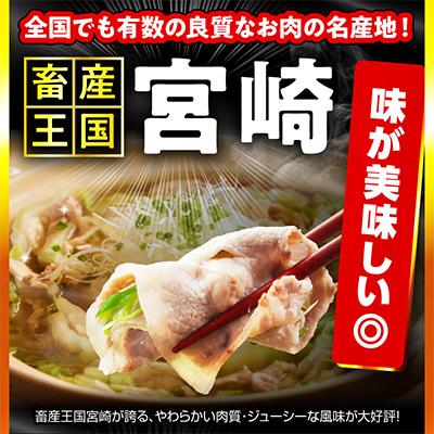 ふるさと納税 宮崎市 豚肉バラエティセット3.6kg(宮崎市) |  | 02