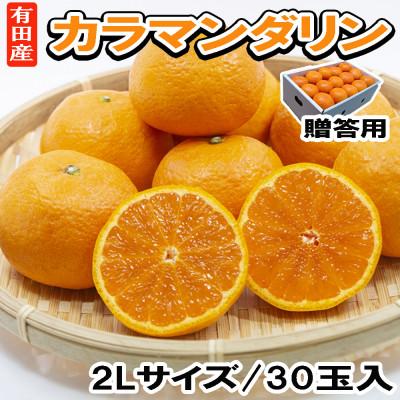 ふるさと納税 湯浅町 [先行予約 2027年4月〜発送][春みかん]有田産カラマンダリン贈答用(2Lサイズ30玉 秀品)