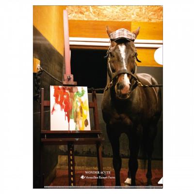 ふるさと納税 平取町 [競馬グッズ][ワンダーアキュート画伯]クリアファイル5枚入り