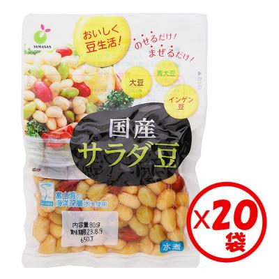 ふるさと納税 射水市 「国産サラダ豆 80g」×20袋
