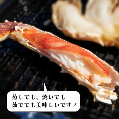 ふるさと納税 大洗町 生冷 たらばがに 5L シュリンクパック 0.8kg(総重量 1kg)AF025 |  | 03