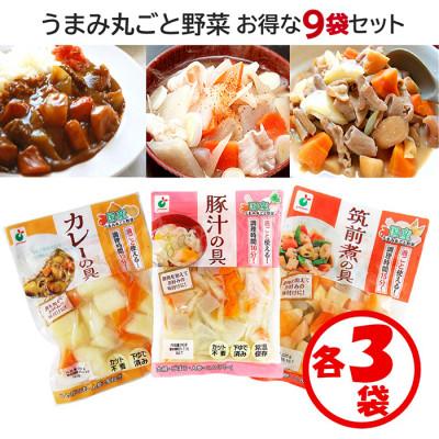 ふるさと納税 射水市 「うまみ丸ごと野菜シリーズ3種(カレーの具、豚汁の具、筑前煮の具)」×各3袋
