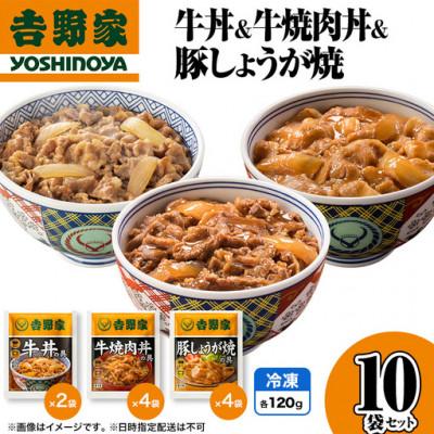 ふるさと納税 十日町市 吉野家 牛丼&amp;牛焼肉丼&amp;豚しょうが焼 10袋セット 冷凍 レトルト 常備食 牛丼の具 人気セット