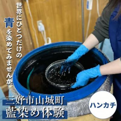 ふるさと納税 三好市 [はんかち]Ao みっつの夢の藍染体験 1名様 徳島県三好市山城町