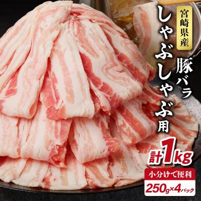 ふるさと納税 都農町 宮崎県産 豚バラ しゃぶしゃぶ用(計1kg) [T009-0136]