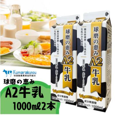 ふるさと納税 水上村 やさしい牛乳、球磨の恵みA2牛乳 1,000ml×2本セット