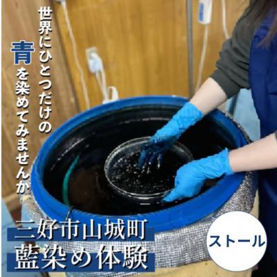 ふるさと納税 三好市 [ストール]Ao みっつの夢の藍染体験 1名様 徳島県三好市山城町