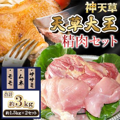 ふるさと納税 上天草市 天草大王 地鶏精肉セット(モモ、ムネ、ササミ)計約3kg (約1.5kg×2セット)