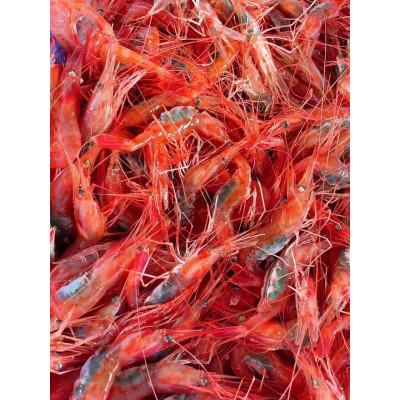 ふるさと納税 佐渡市 佐渡島産 南蛮エビ(甘えび) 400g |  | 02