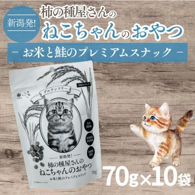ふるさと納税 小千谷市 ねこちゃんのおやつ お米と鮭のプレミアムスナック10個セット 阿部幸製菓