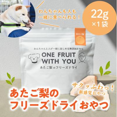 ふるさと納税 真庭市 あたご梨のフリーズドライおやつ(22g×1袋) 原材料は「あたご梨」のみ、果物そのまま!(岡山県産)