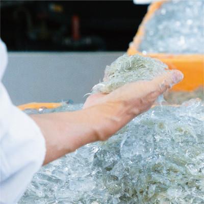 ふるさと納税 有田市 しらす職人が目利きした 「 釜揚げしらす 」 800g(400g×2パック) |  | 03