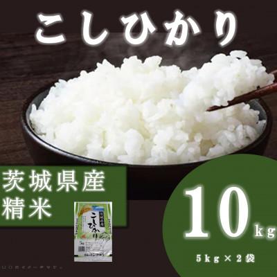 ふるさと納税 阿見町 茨城県産 コシヒカリ 精米 10kg(5kg×2袋)お米