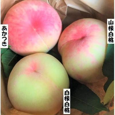 ふるさと納税 岩泉町 [2026年7月下旬より順次出荷]桃 2〜3品種(1.5キロ:約4個)食べくらべセット