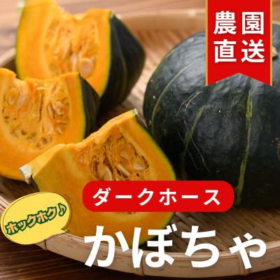 ふるさと納税 美里町 ホックホクのカボチャ※6月上旬から順次発送!4kg(2〜3玉)