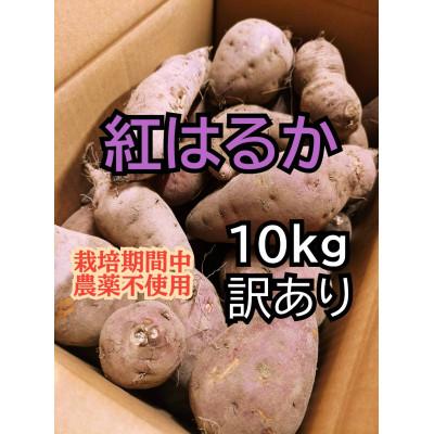 ふるさと納税 佐渡市 訳ありさつまいも 紅はるか10kg 佐渡島産