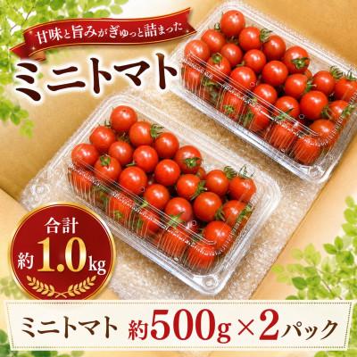 ふるさと納税 半田市 ミニトマト約1kg