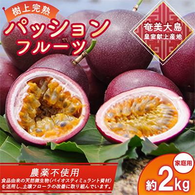 ふるさと納税 瀬戸内町 期間限定[農薬不使用]奄美大島 完熟パッションフルーツ 約2kg(農家直送)家庭用