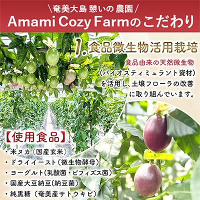 ふるさと納税 瀬戸内町 期間限定【農薬不使用】奄美大島 完熟 