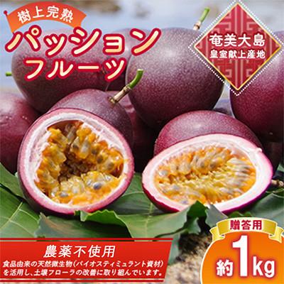 ふるさと納税 瀬戸内町 期間限定[農薬不使用]奄美大島 完熟パッションフルーツ 約1kg(農家直送)贈答用