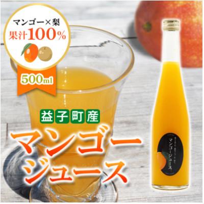 ふるさと納税 益子町 [数量限定]マンゴージュース 500ml