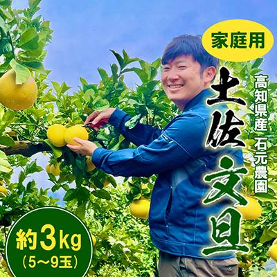 ふるさと納税 土佐市 [期間限定]高知県産 石元農園の 土佐 文旦 家庭用 約3kg(5〜9玉)