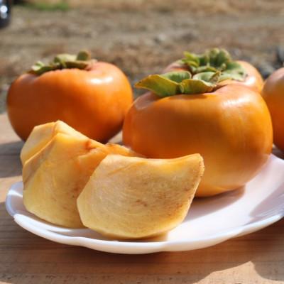 ふるさと納税 由良町 和歌山県産 柿 2.5kg