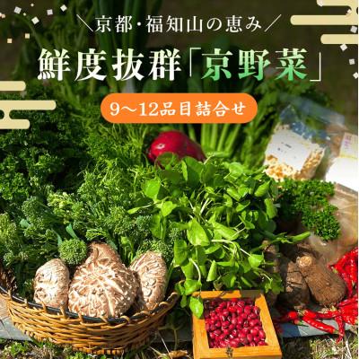 ふるさと納税 福知山市 鮮度抜群「京野菜」9〜12品目詰合せ[京都府福知山市]