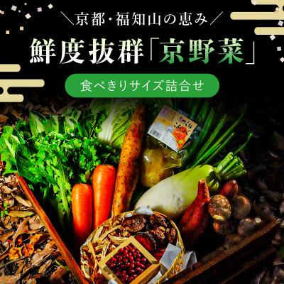 ふるさと納税 福知山市 鮮度抜群「京野菜」食べきりサイズ詰合せ(6〜7品目)[京都府福知山市]