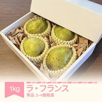 ふるさと納税 村山市 ラ・フランス 洋梨 秀品 約1kg(2〜4個程度)