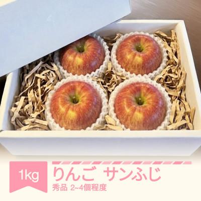 ふるさと納税 村山市 りんご サンふじ 秀品 約1kg(2〜4個程度)