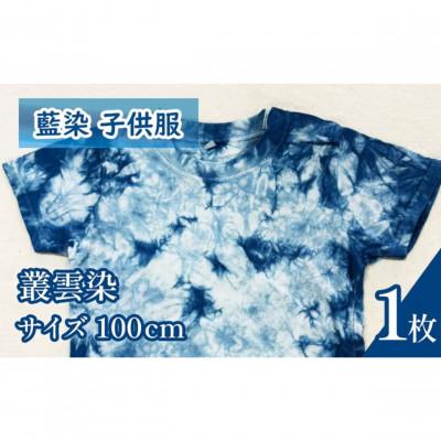 ふるさと納税 三好市 [100cm]三好の藍染 藍染子供服Tシャツ(叢雲染め) 綿100% 男の子/女の子人気柄