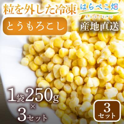 ふるさと納税 西尾市 粒を外した冷凍とうもろこし(1袋250g×3) 3セット