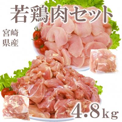 ふるさと納税 三股町 宮崎県産若鶏肉総量約4.8kgセット(三股町)[MI762]