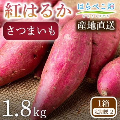 ふるさと納税 西尾市 [定期便2ヶ月]さつまいも 紅はるか(1.8kg)1箱